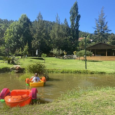 アロウカ Quinta Da Vinha Do Soutoヴィラ エクステリア 写真