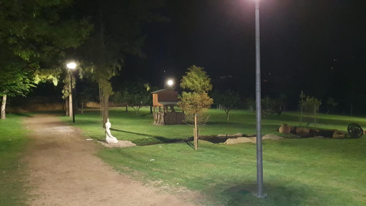 アロウカ Quinta Da Vinha Do Soutoヴィラ エクステリア 写真