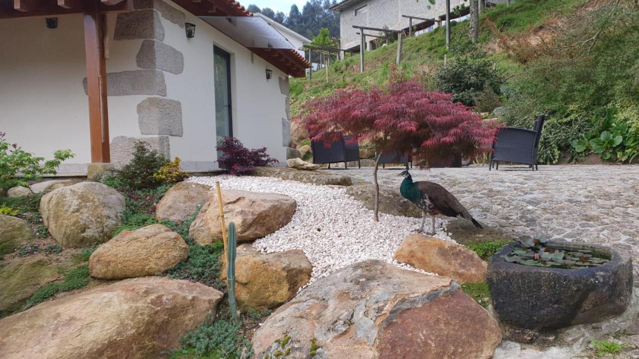 アロウカ Quinta Da Vinha Do Soutoヴィラ エクステリア 写真