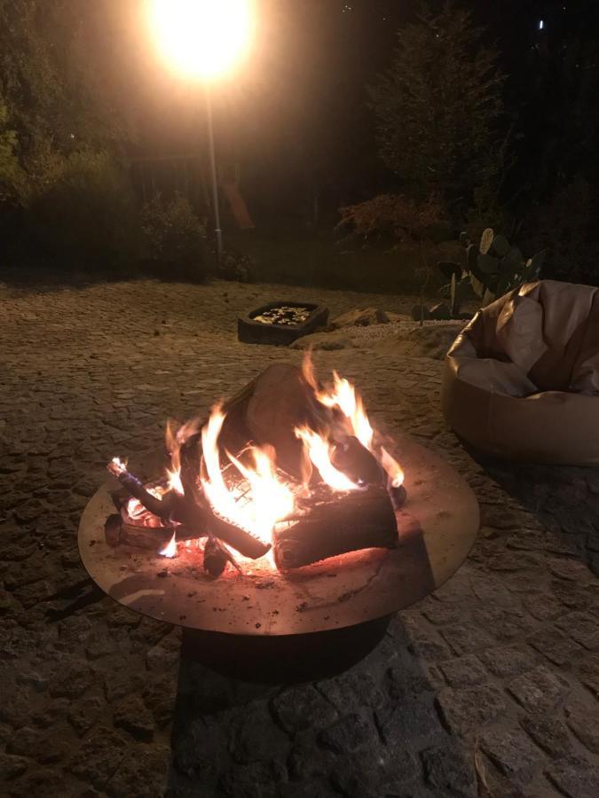 アロウカ Quinta Da Vinha Do Soutoヴィラ エクステリア 写真